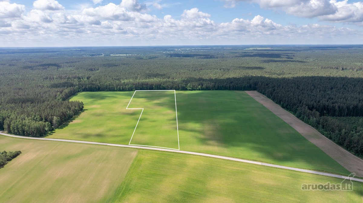 Parduodamas erdvus 5,99 ha žemės ūkio - nuotraukos Nr. 4