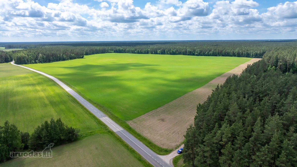 Parduodamas erdvus 5,99 ha žemės ūkio - nuotraukos Nr. 5