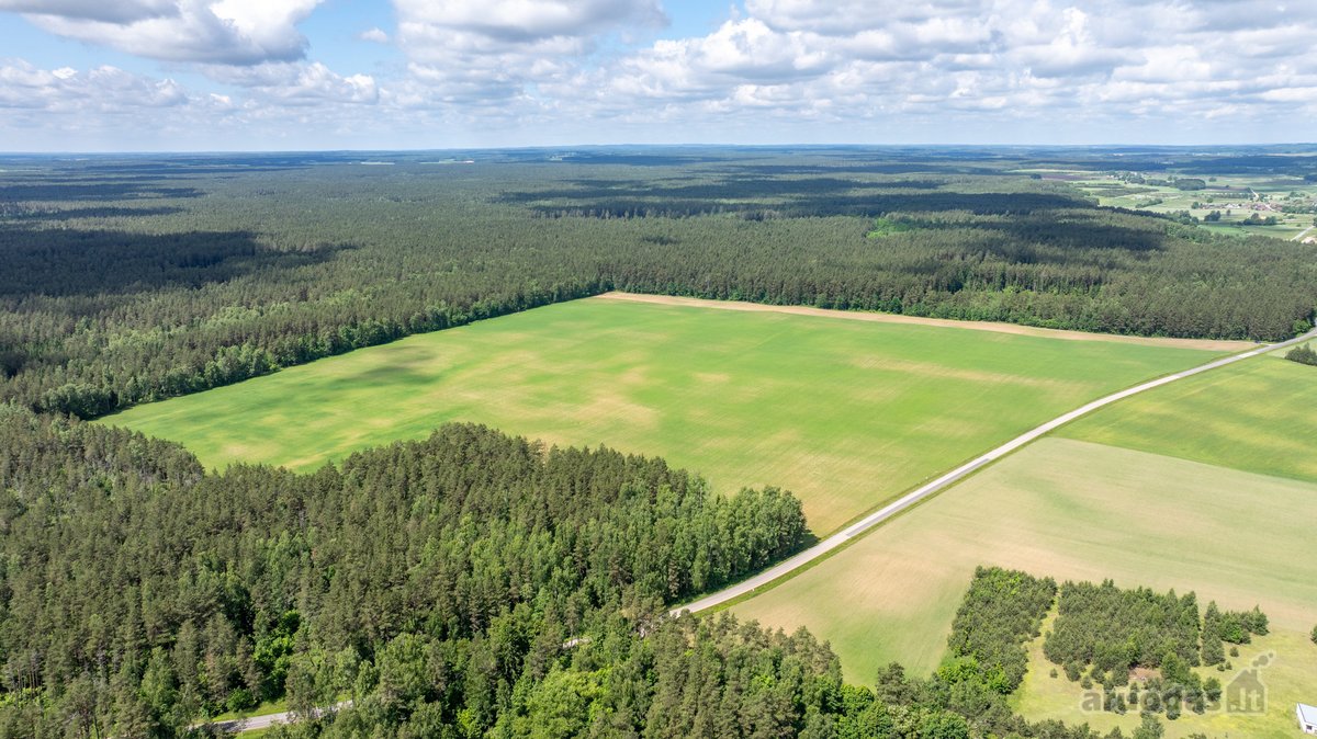 Parduodamas erdvus 5,99 ha žemės ūkio - nuotraukos Nr. 6