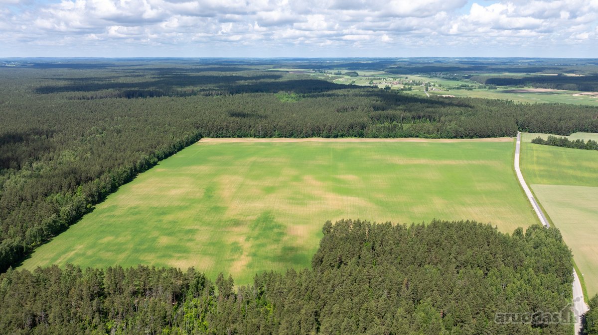 Parduodamas erdvus 5,99 ha žemės ūkio - nuotraukos Nr. 7