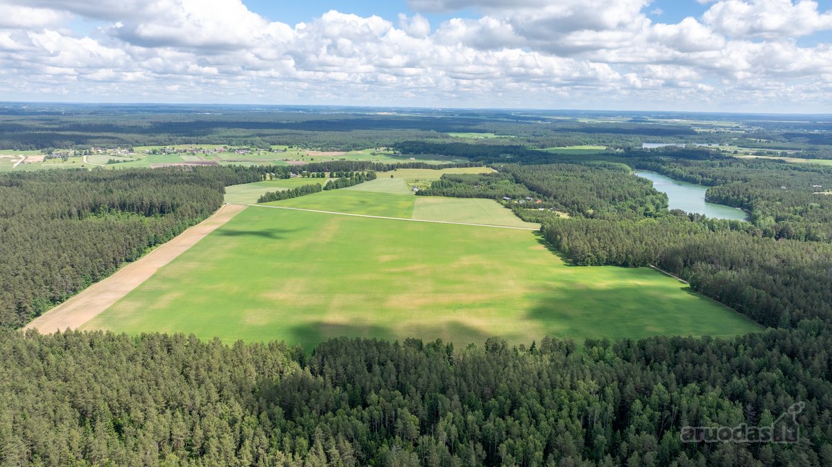 Parduodamas erdvus 5,99 ha žemės ūkio - nuotraukos Nr. 8