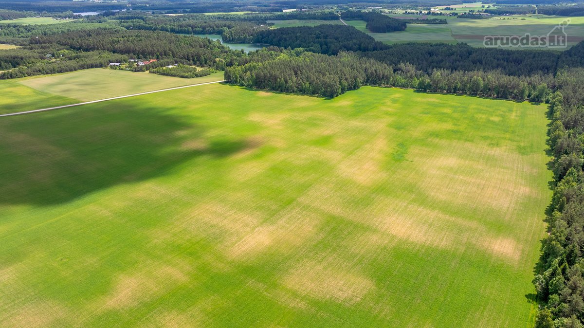 Parduodamas erdvus 5,99 ha žemės ūkio - nuotraukos Nr. 9