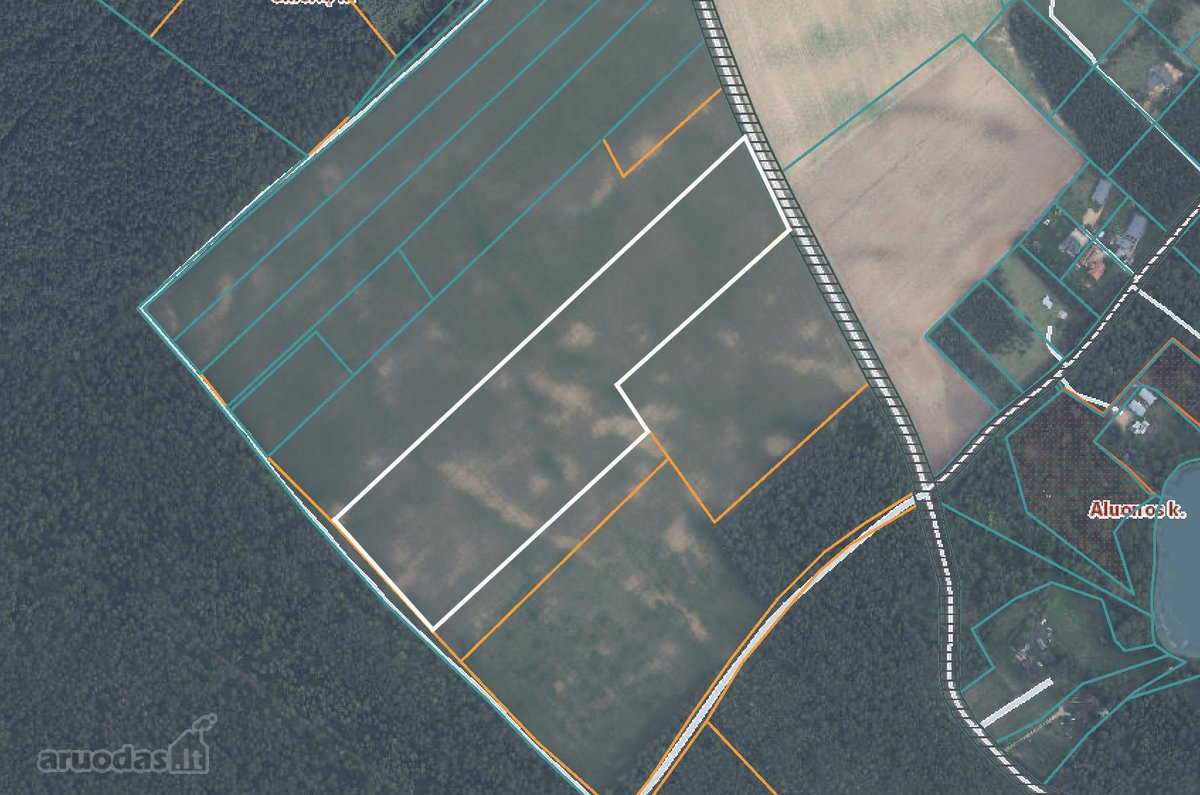 Parduodamas erdvus 5,99 ha žemės ūkio - nuotraukos Nr. 11