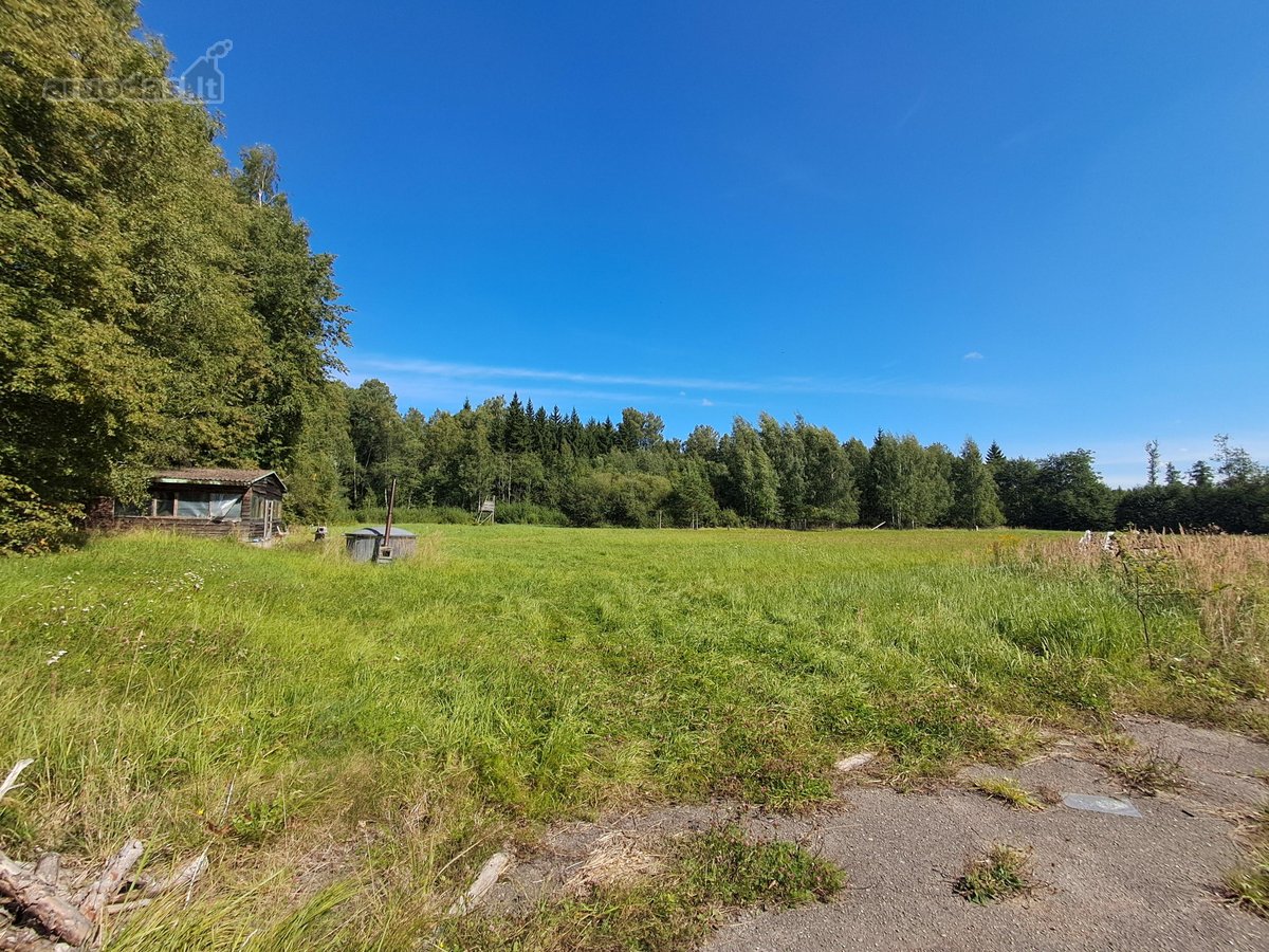 Parduodamas 8,9318 hektaro žemės sklypas su - nuotraukos Nr. 9