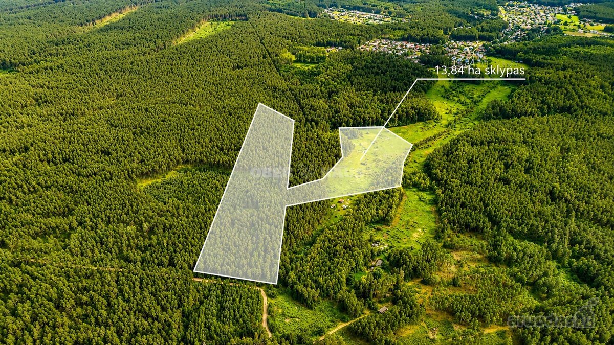 Parduodami trys žemės sklypai Nemenčinės - nuotraukos Nr. 3