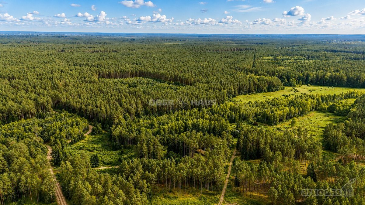 Parduodami trys žemės sklypai Nemenčinės - nuotraukos Nr. 5