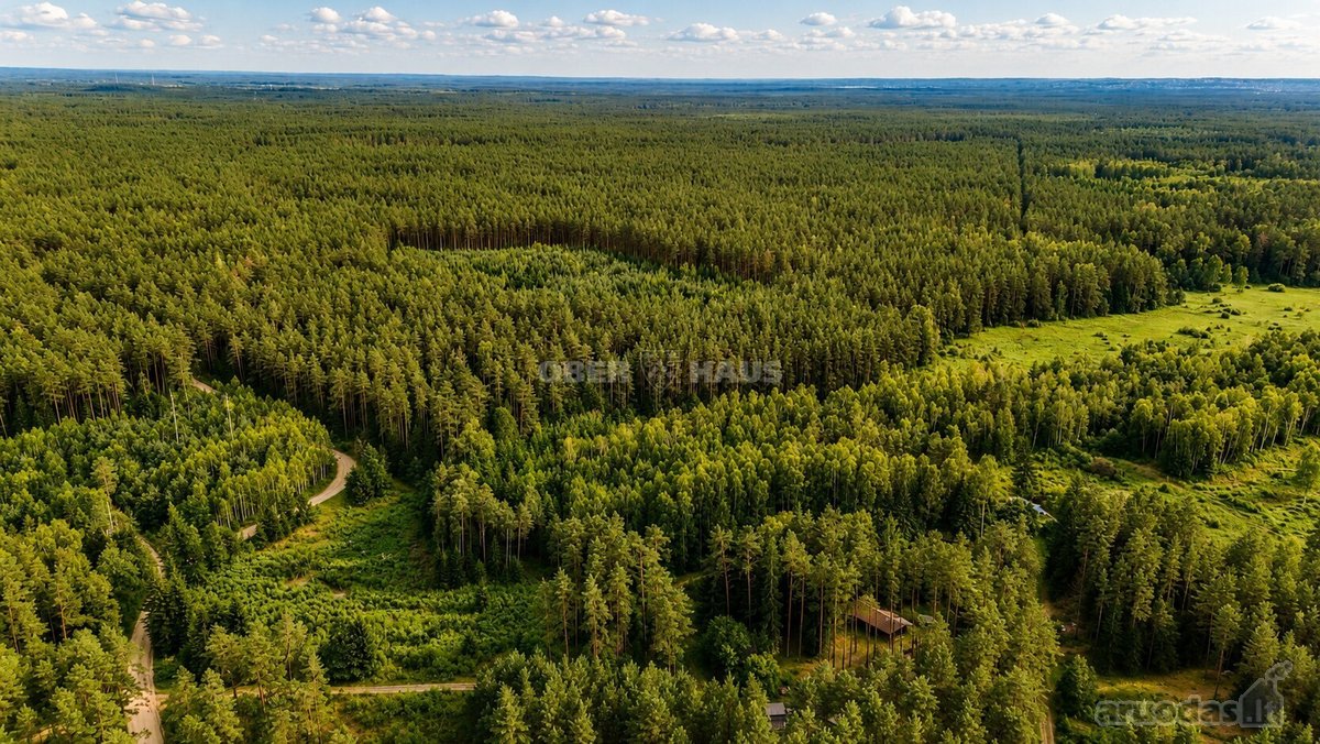 Parduodami trys žemės sklypai Nemenčinės - nuotraukos Nr. 6