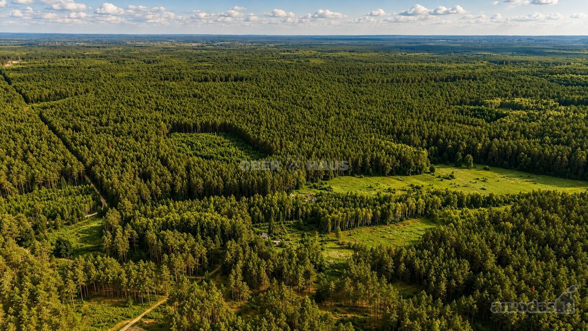 Parduodami trys žemės sklypai Nemenčinės - nuotraukos Nr. 8