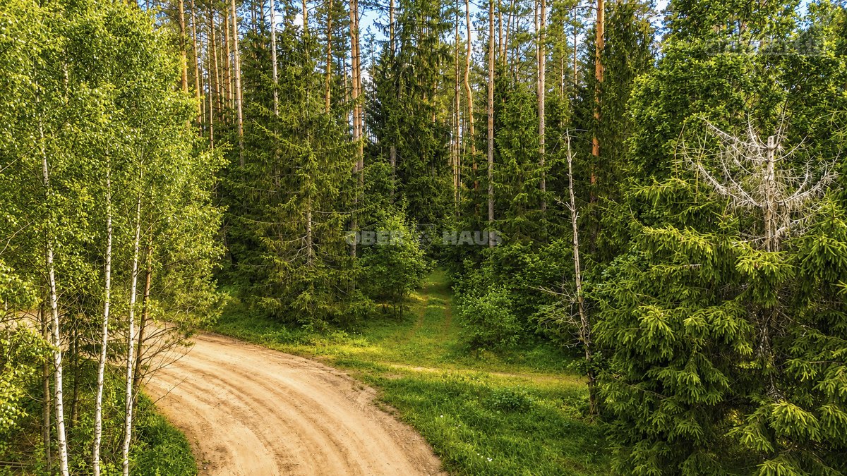 Parduodami trys žemės sklypai Nemenčinės - nuotraukos Nr. 9