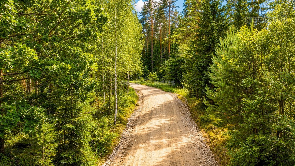 Parduodami trys žemės sklypai Nemenčinės - nuotraukos Nr. 10