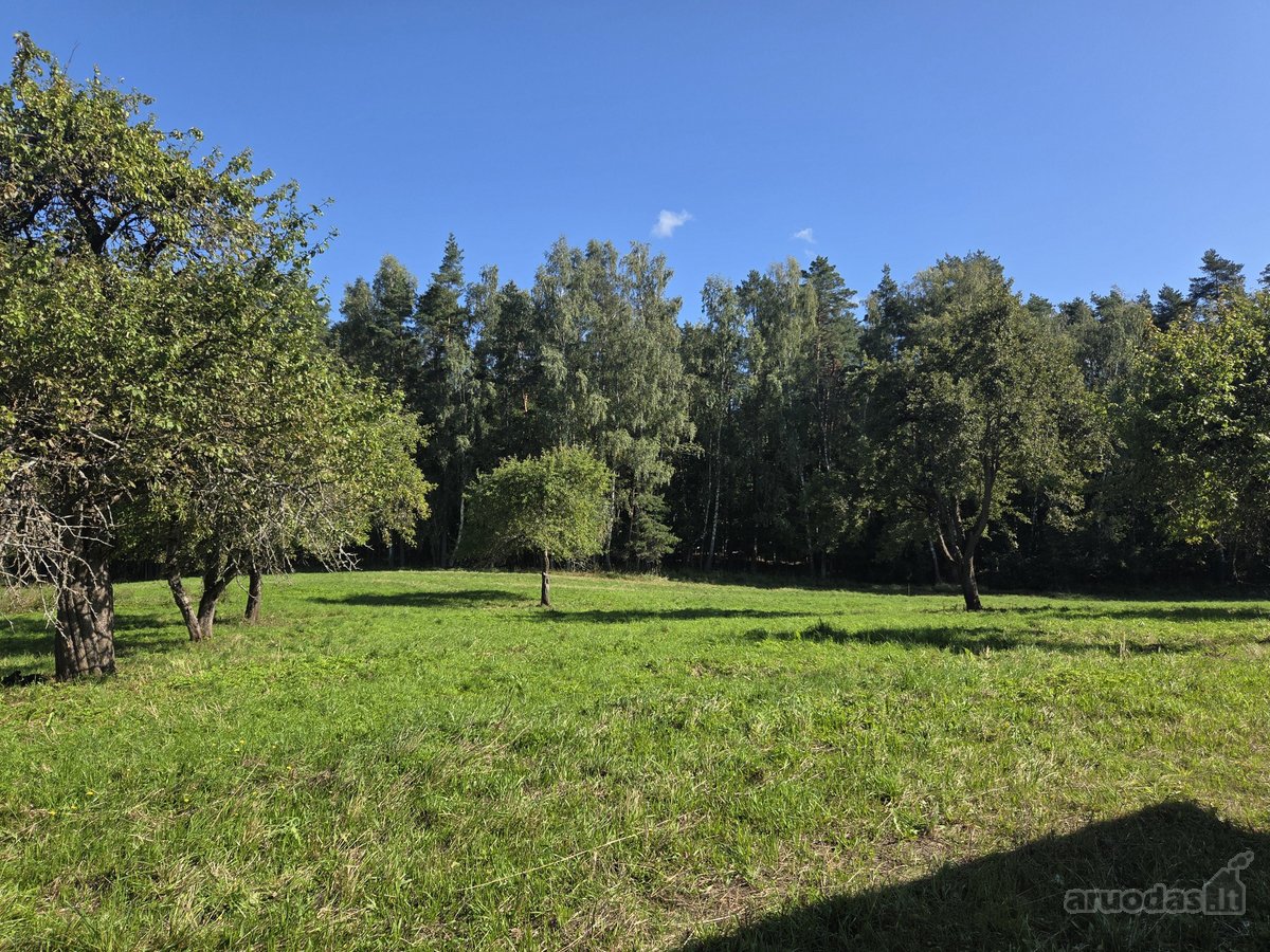 Išskirtinė sodyba miško apsuptyje su 13,17 ha - nuotraukos Nr. 12