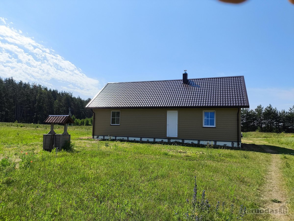 Pamatai gręžtiniai su rostverku, medinis - nuotraukos Nr. 6