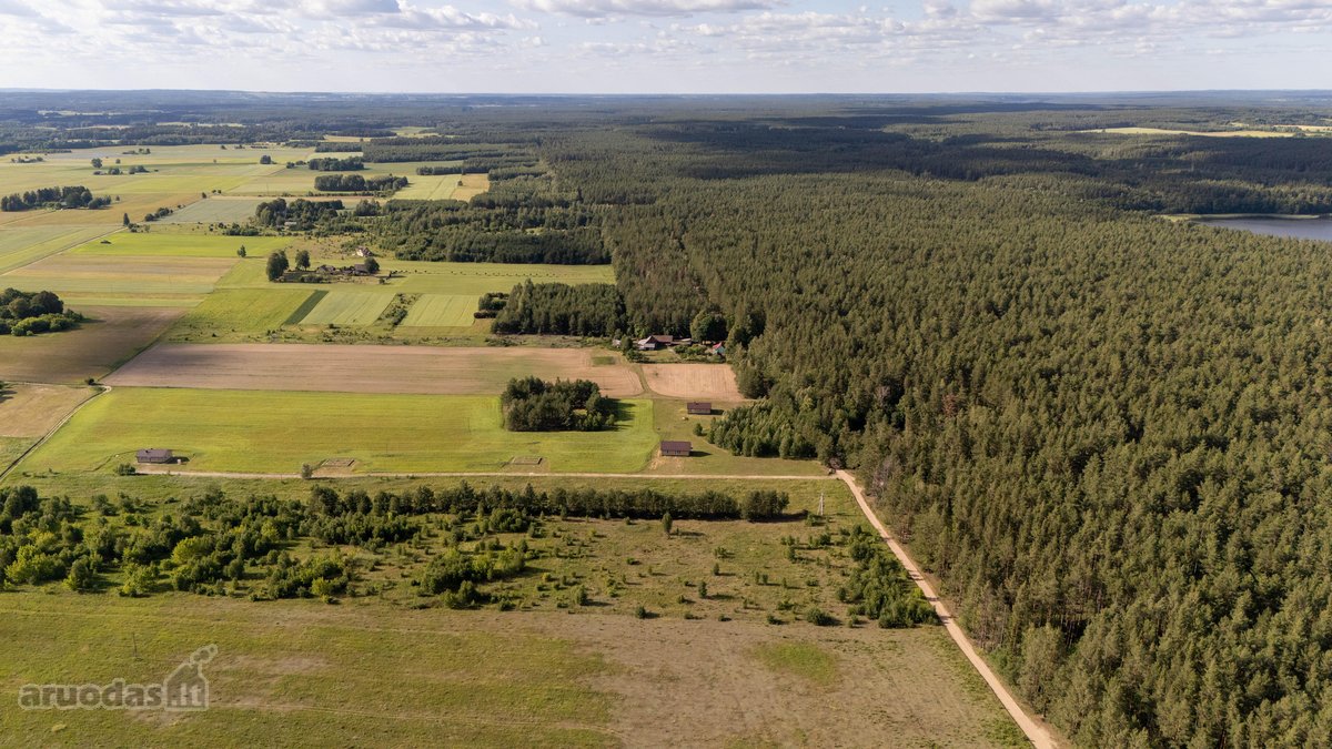 Pamatai gręžtiniai su rostverku, medinis - nuotraukos Nr. 27