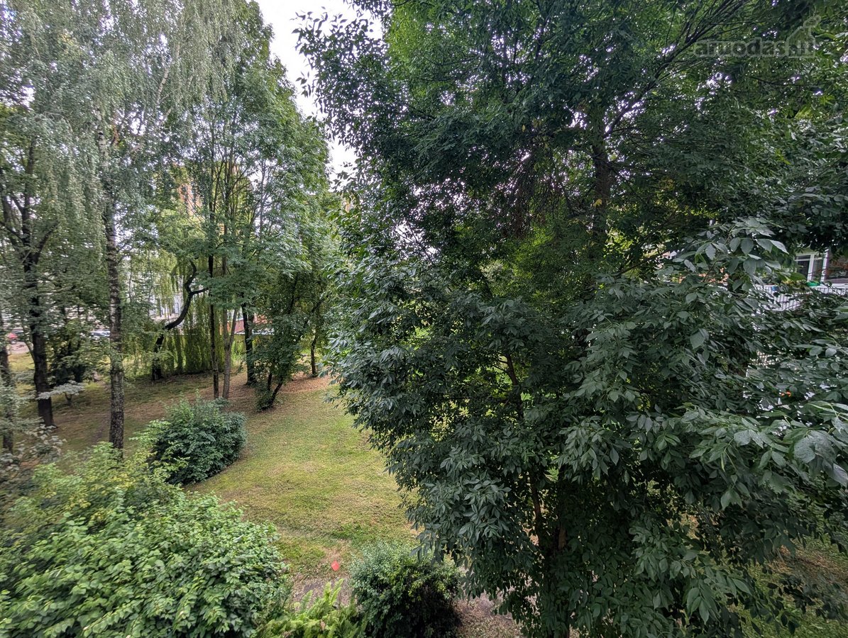 Parduodamas erdvus 3 nepereinamų kambarių - nuotraukos Nr. 9
