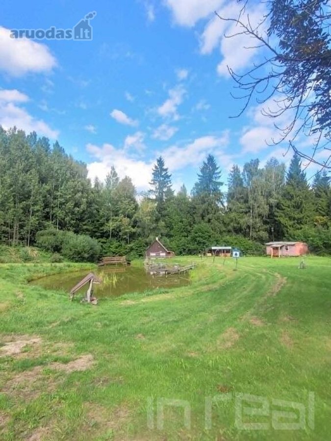 Parduodamas miško apsuptyje erdvus sklypas su - nuotraukos Nr. 2