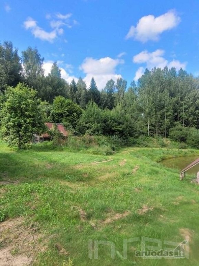 Parduodamas miško apsuptyje erdvus sklypas su - nuotraukos Nr. 3