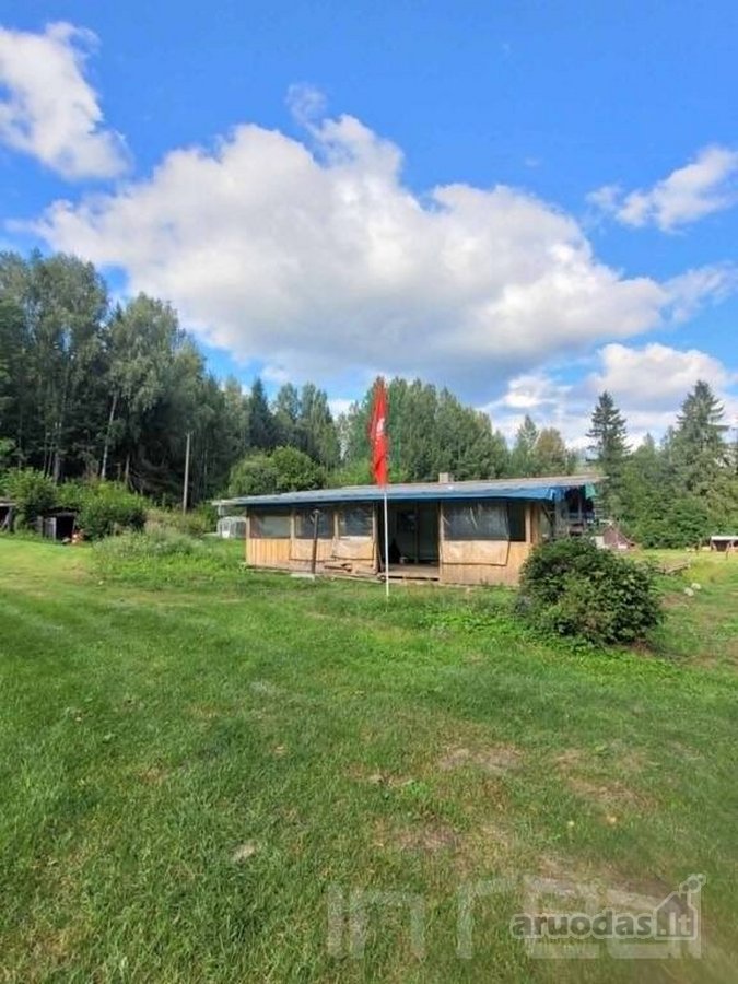 Parduodamas miško apsuptyje erdvus sklypas su - nuotraukos Nr. 5