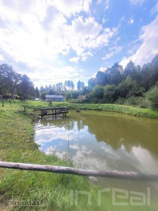Parduodamas miško apsuptyje erdvus sklypas su - nuotraukos Nr. 6