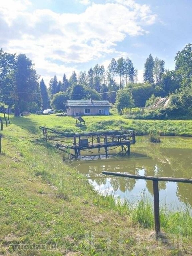 Parduodamas miško apsuptyje erdvus sklypas su - nuotraukos Nr. 8