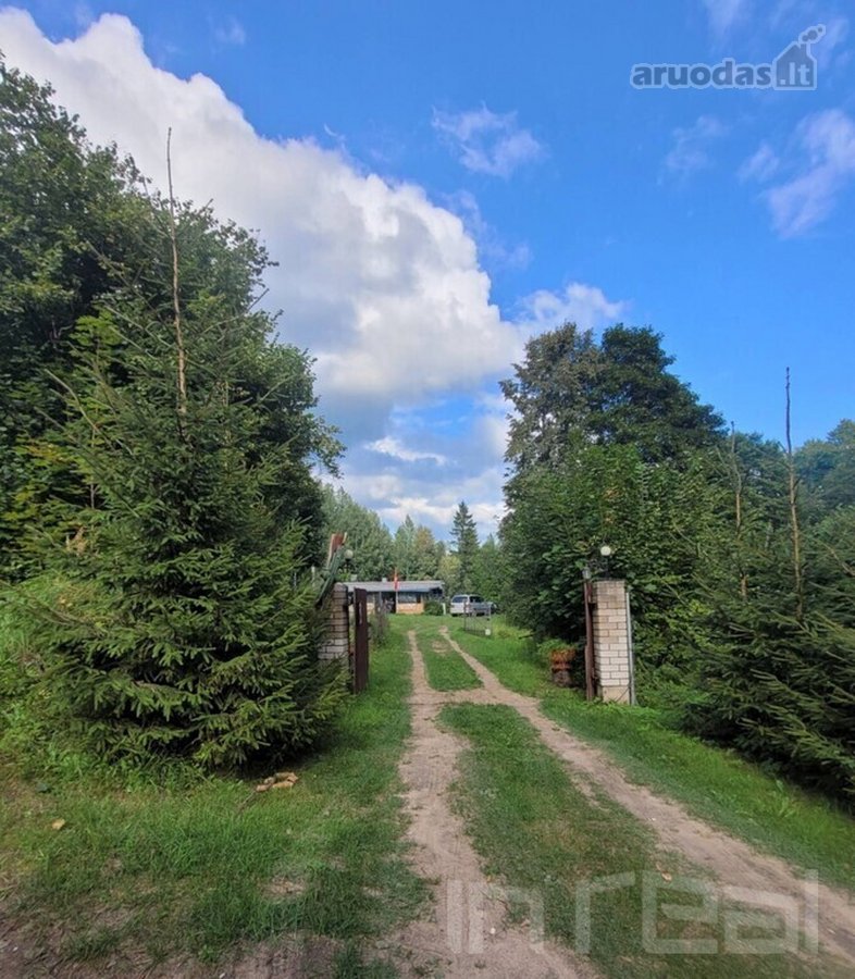 Parduodamas miško apsuptyje erdvus sklypas su - nuotraukos Nr. 19