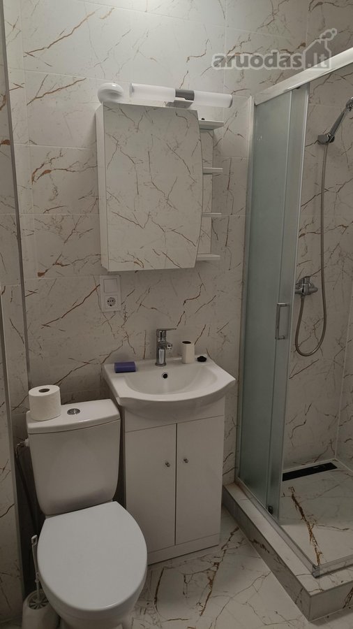 Išnuomuojamas vieno kambario butas po - nuotraukos Nr. 5