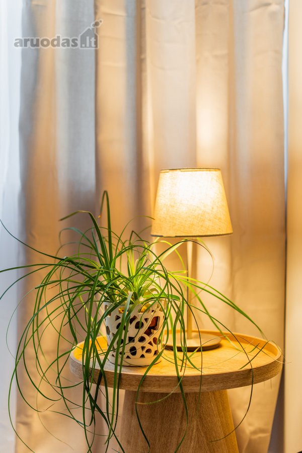 Parduodamas Jaukus 2 Kambarių Butas Panemunėje - nuotraukos Nr. 13