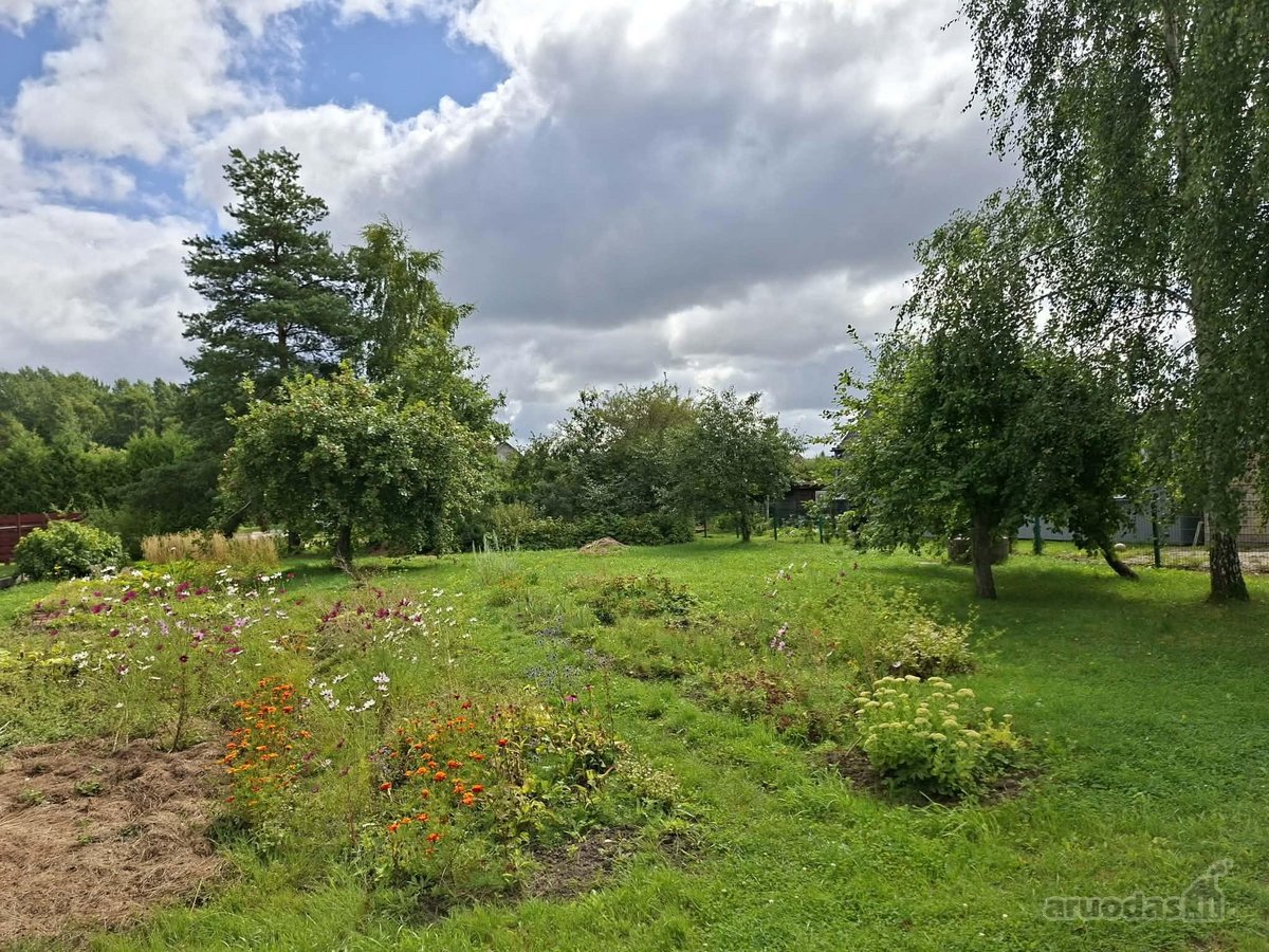 Parduodamas 5,93 a Sodo Sklypas Vaiteliuose – - nuotraukos Nr. 3