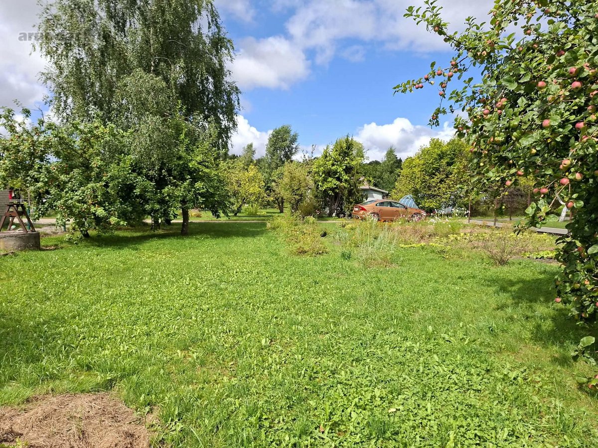 Parduodamas 5,93 a Sodo Sklypas Vaiteliuose – - nuotraukos Nr. 2