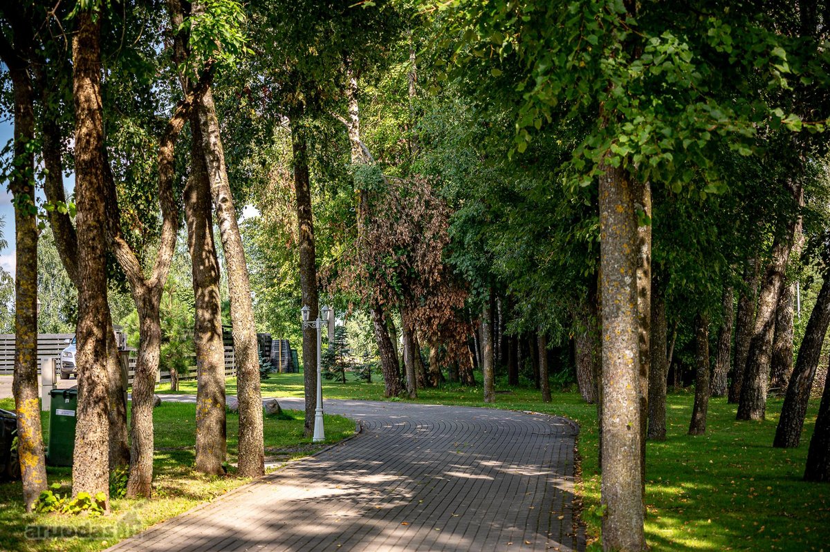 Parduodamas namas Didžiojoje Riešėje – pilna - nuotraukos Nr. 30