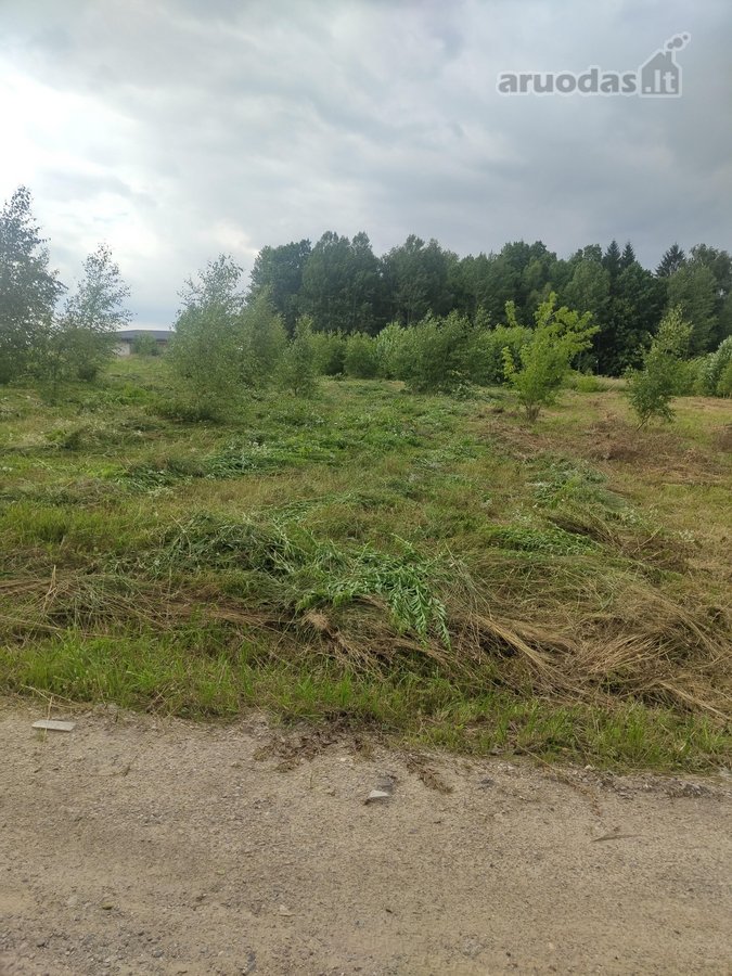 Parduodamas erdvus 19,50 aro žemės sklypas - nuotraukos Nr. 2