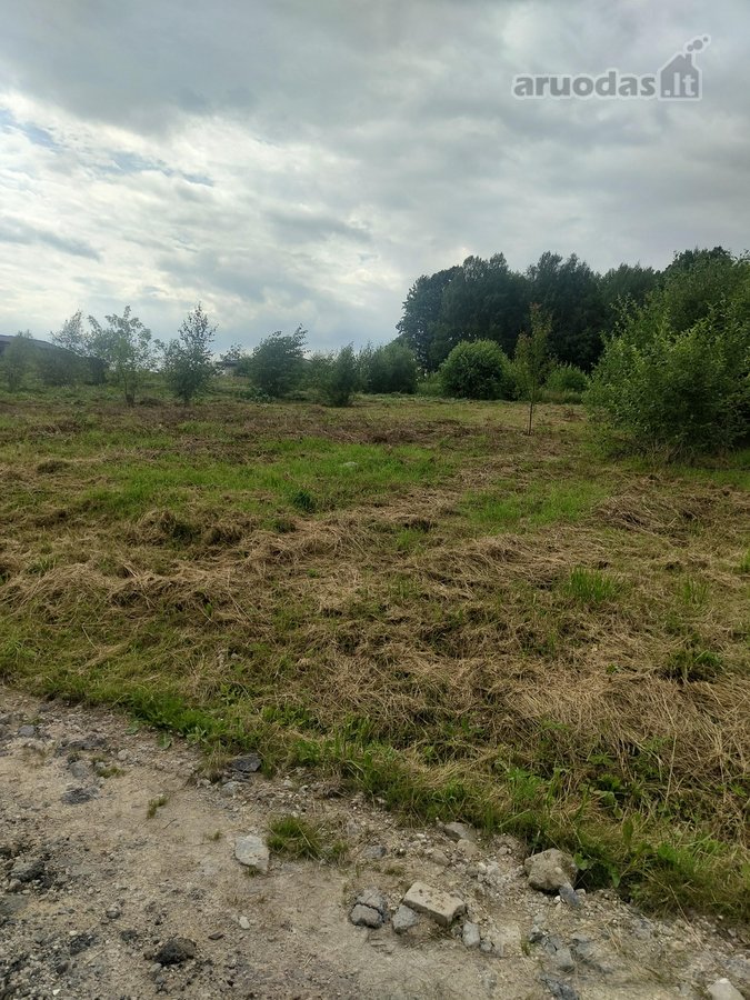 Parduodamas erdvus 19,50 aro žemės sklypas - nuotraukos Nr. 3