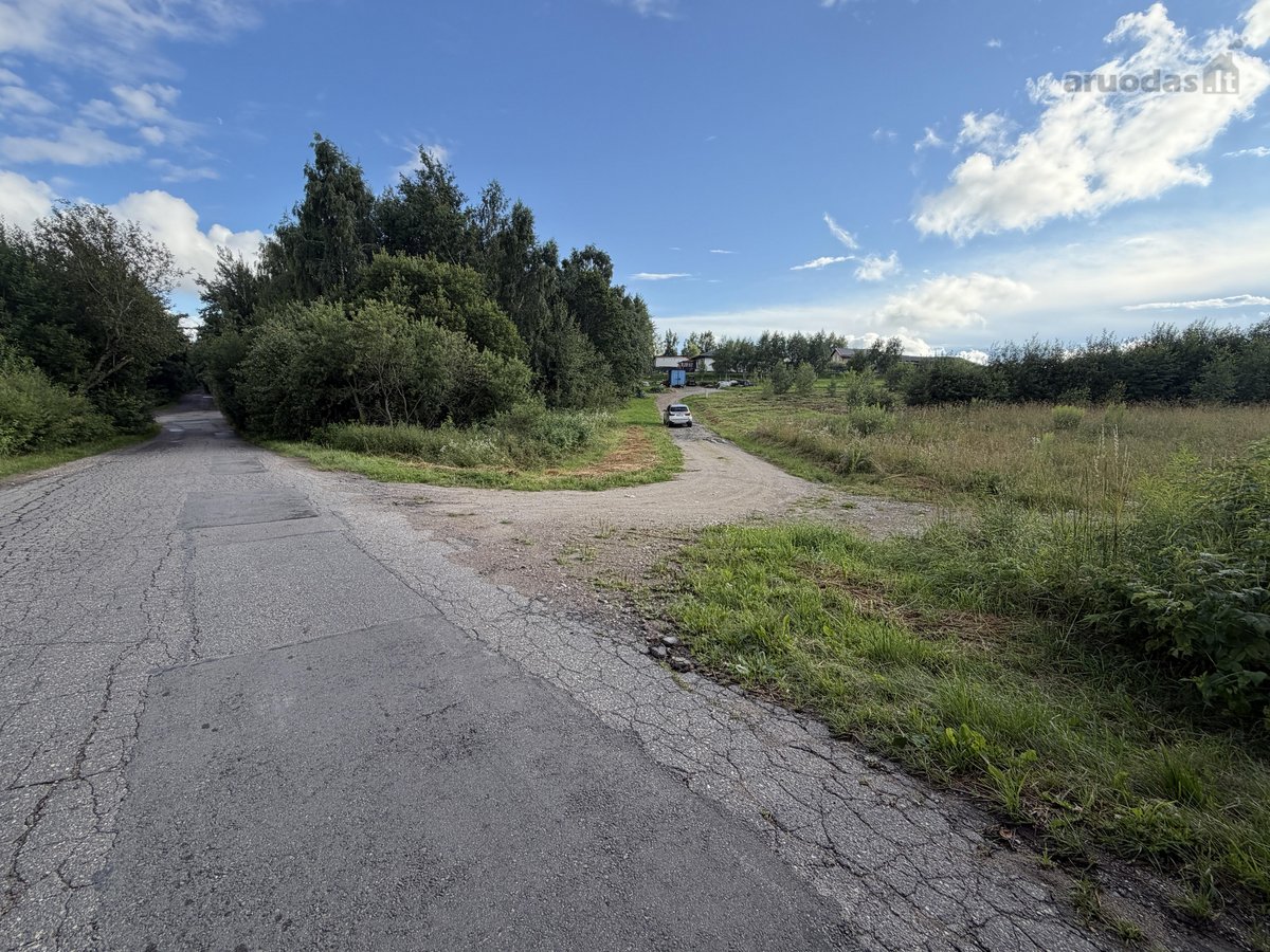 Parduodamas erdvus 19,50 aro žemės sklypas - nuotraukos Nr. 7