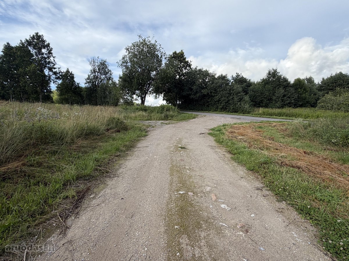 Parduodamas erdvus 19,50 aro žemės sklypas - nuotraukos Nr. 10