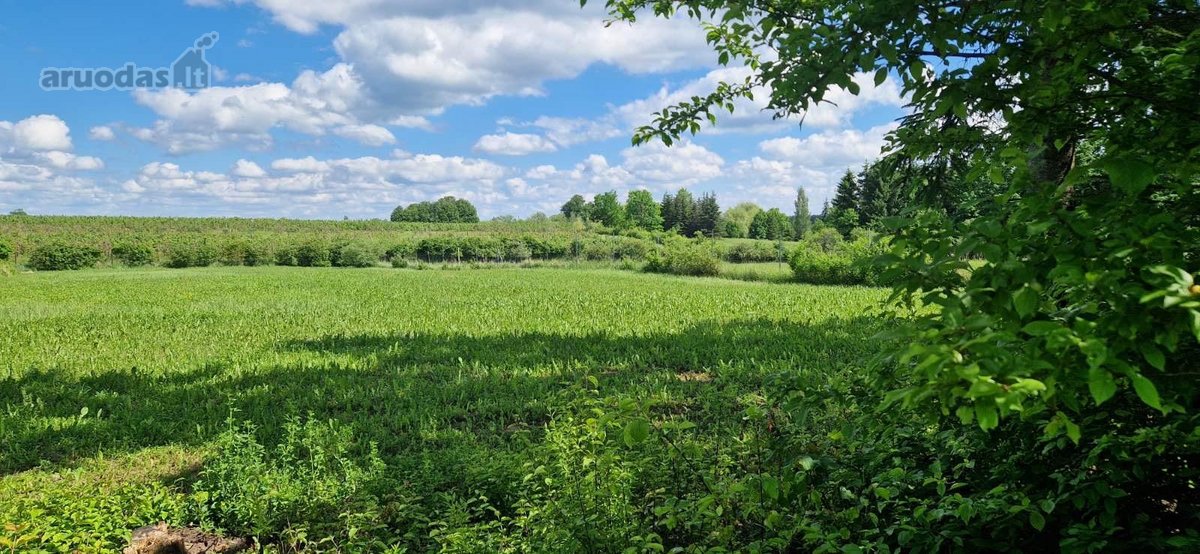 Parduodamas namų valdos sklypas vaizdingoje - nuotraukos Nr. 9