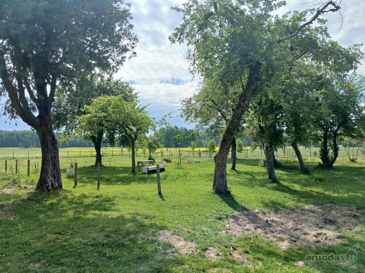 Parduodamas prižiūrėtas gyvenamasis namas - - nuotraukos Nr. 11