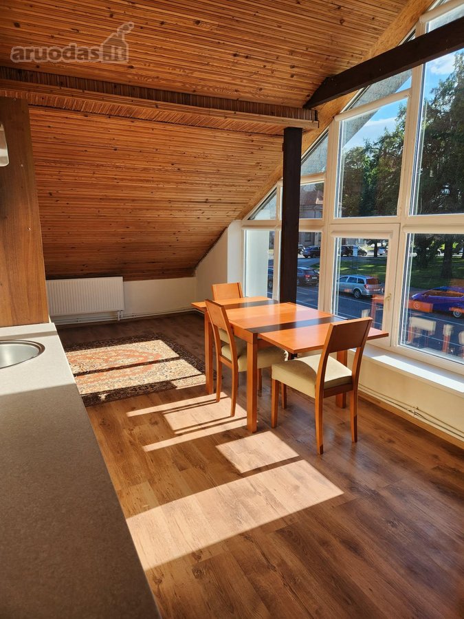 Nuomojami įvairaus dydžio apartamentai - nuotraukos Nr. 6