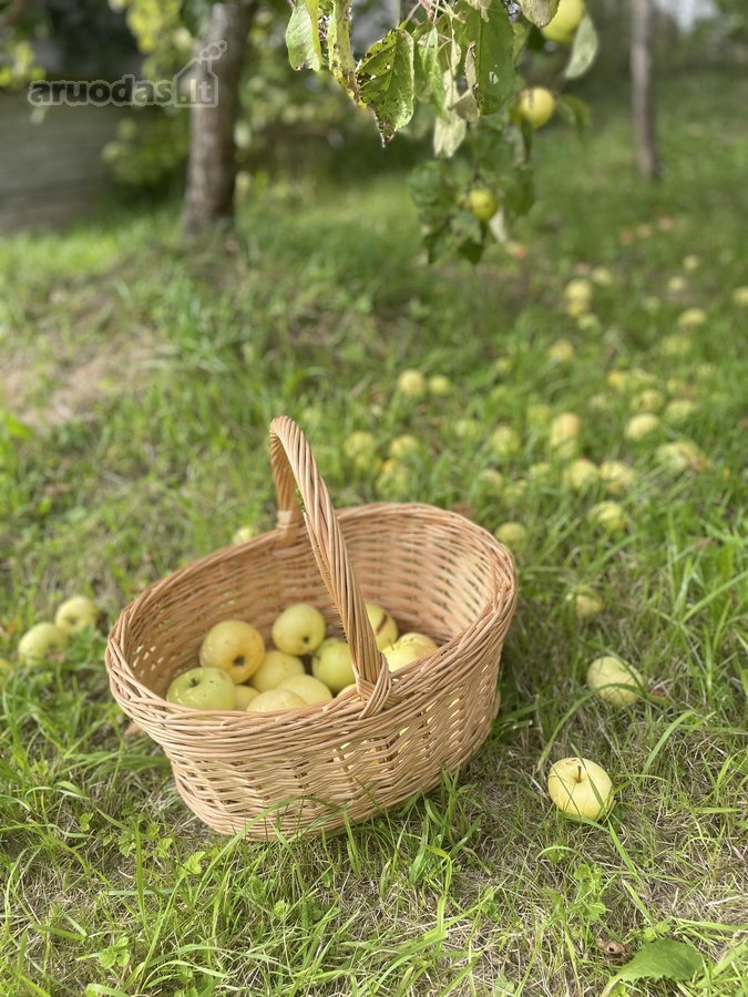 Parduodama jauki ir erdvi sodyba miestelyje – - nuotraukos Nr. 30