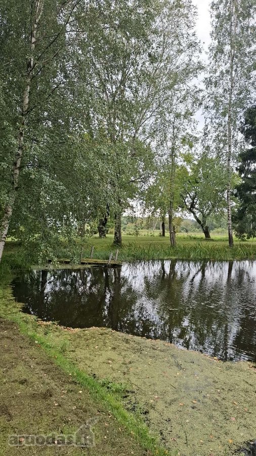 Parduodama jauki sodyba ieškantiems ramybės, - nuotraukos Nr. 5