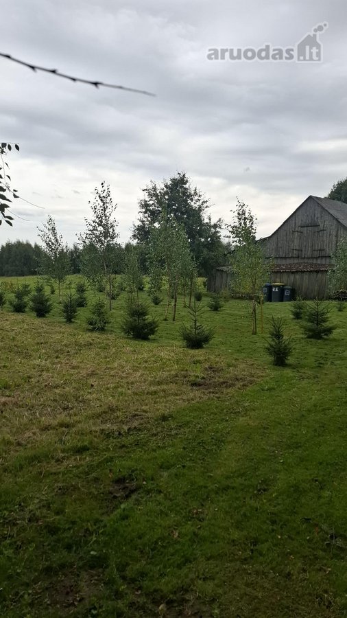Parduodama jauki sodyba ieškantiems ramybės, - nuotraukos Nr. 7