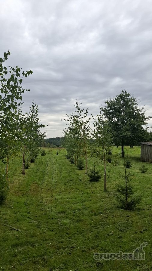 Parduodama jauki sodyba ieškantiems ramybės, - nuotraukos Nr. 8
