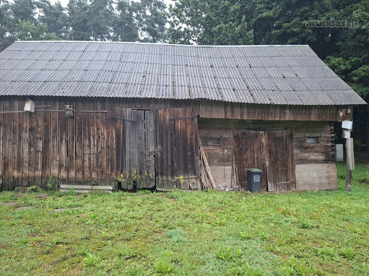 Sklypas: 16 arų. Atstumas iki Skaudvilės 1 km - nuotraukos Nr. 9