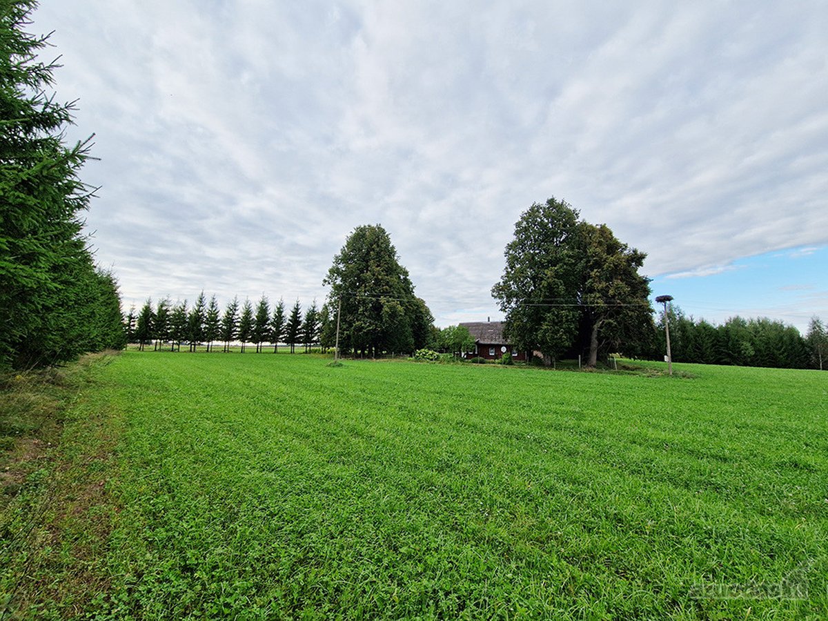 Puikus Pasiūlymas Kokybiškam Poilsiui Ar - nuotraukos Nr. 14