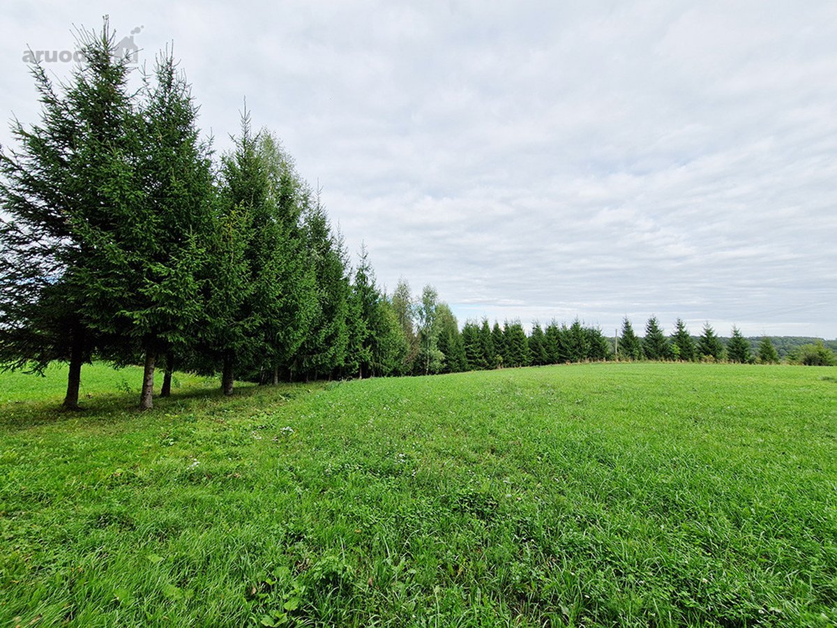 Puikus Pasiūlymas Kokybiškam Poilsiui Ar - nuotraukos Nr. 15