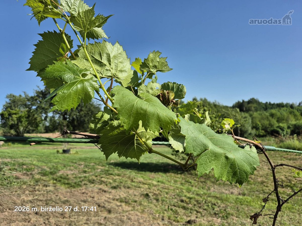 Parduodamas sklypas Trakų rajone (šalia - nuotraukos Nr. 10
