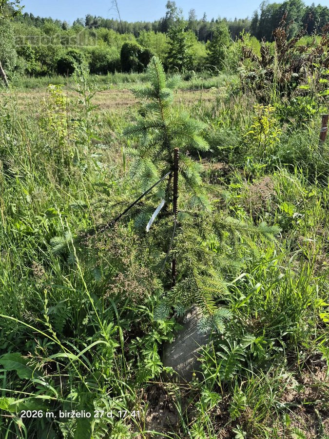 Parduodamas sklypas Trakų rajone (šalia - nuotraukos Nr. 14