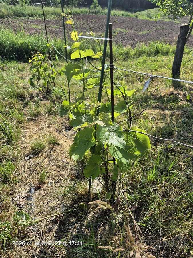 Parduodamas sklypas Trakų rajone (šalia - nuotraukos Nr. 19