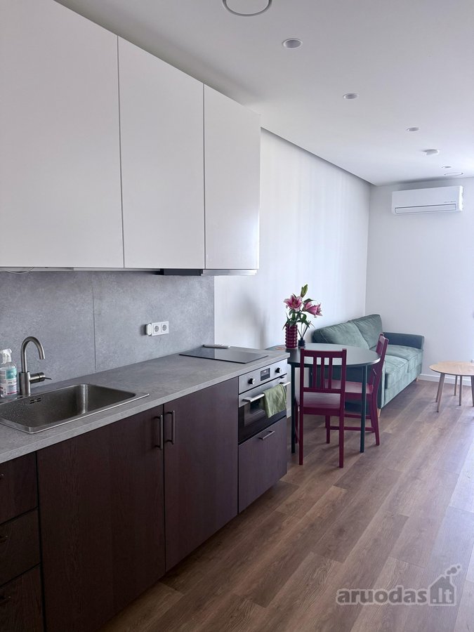 Išnuomojamas 29 m² butas Žirmūnuose – su - nuotraukos Nr. 3