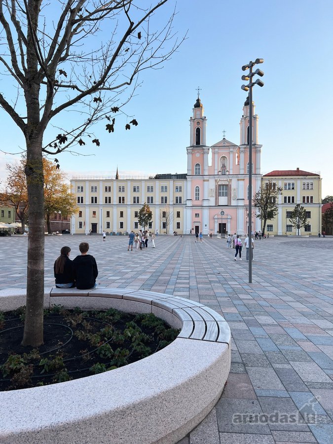 Šis ramiame ir žaliame vidiniame senamiesčio - nuotraukos Nr. 13