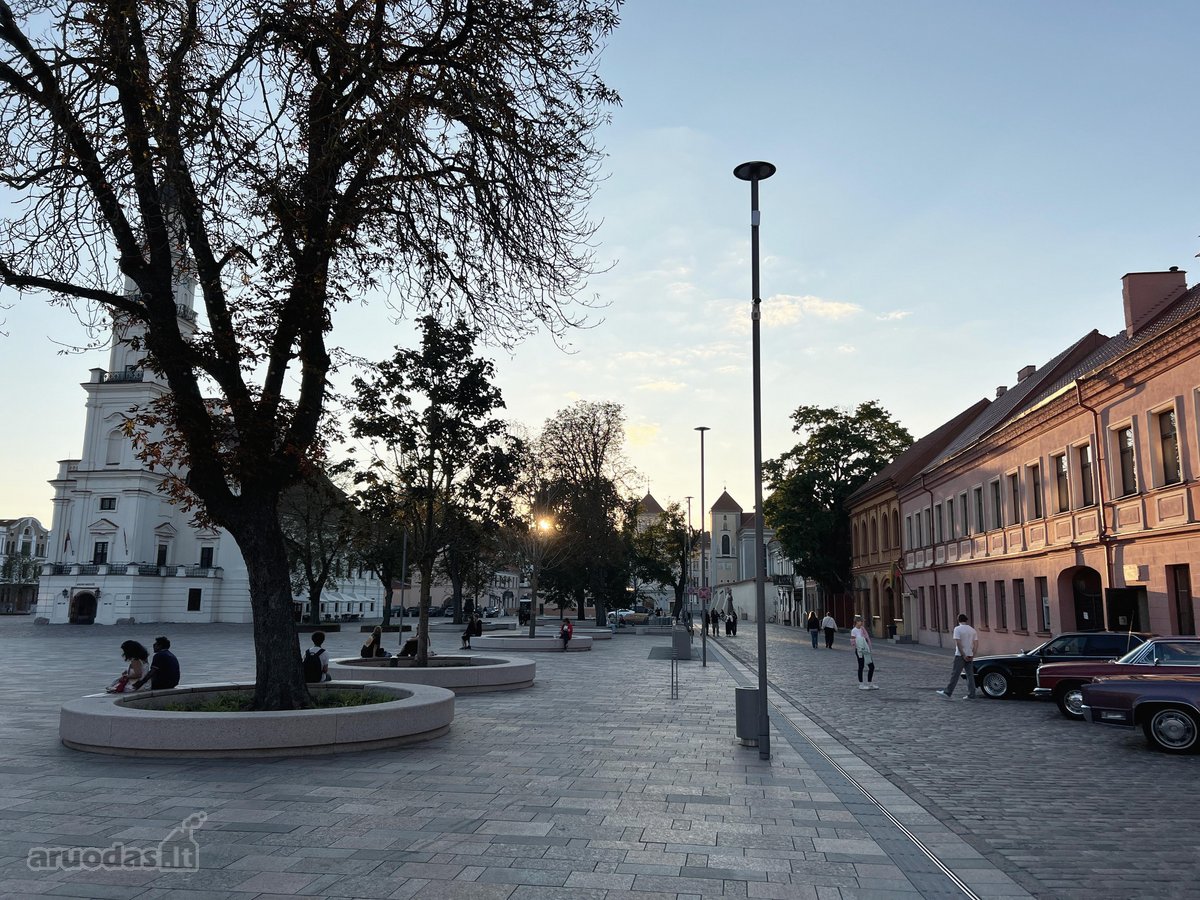 Šis ramiame ir žaliame vidiniame senamiesčio - nuotraukos Nr. 14