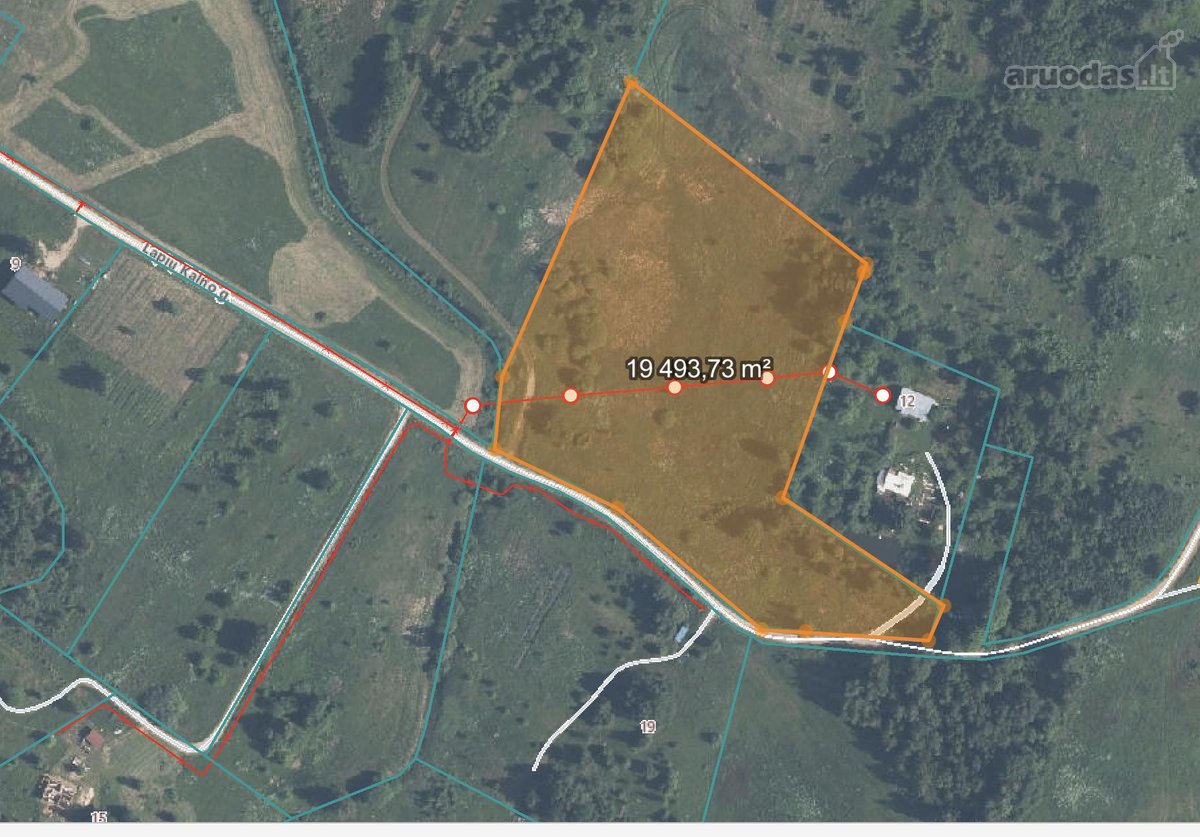 Parduodamas sklypas 1,94ha Kramniškių k. - nuotraukos Nr. 3